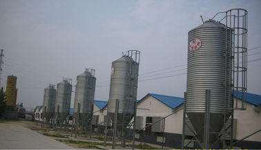Silo galvanizado da alimentação para a exploração avícola